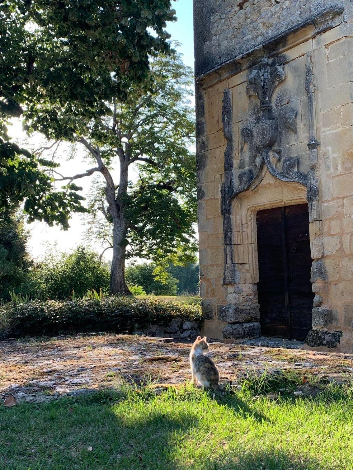 Chateau De Monsac 외부 사진